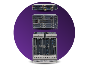Muse Multilayer Automation